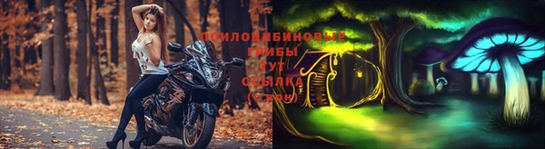 кокс Абдулино