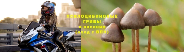 ПСИЛОЦИБИНОВЫЕ ГРИБЫ Бабаево
