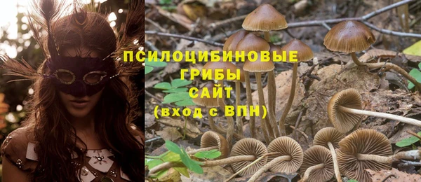 ешки Абаза