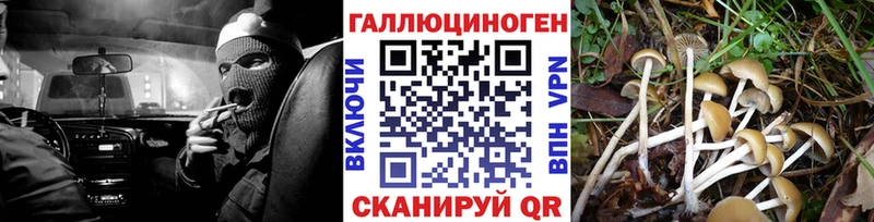 Галлюциногенные грибы мухоморы  даркнет сайт  Почеп 